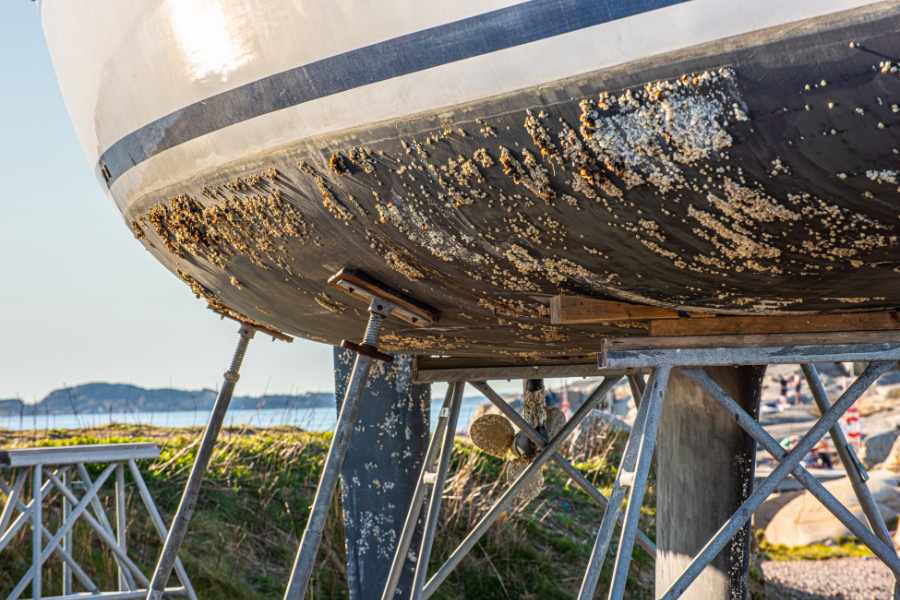 Cómo funcionan las pinturas antifouling